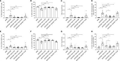 p53 Activation Effect in the Balance of T Regulatory and Effector Cell Subsets in Patients With Thyroid Cancer and Autoimmunity